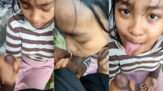Bokep Smp Pelajar Mesum Sepong Kontol Di Sama Tiri Kelasnya Semak ayah crot Malu kakak